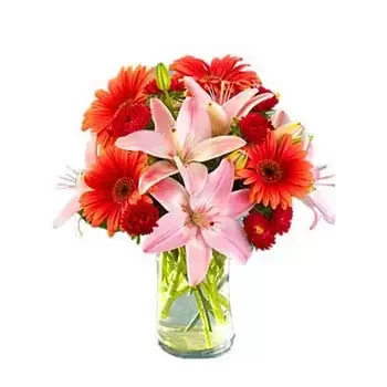 צ'ובו-מיאון פרחים- סנגריה פרח משלוח