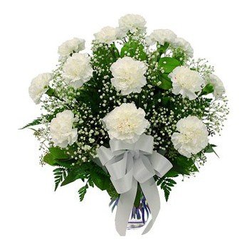 Gafsa Nord kvety- Jednoduché radosť Kvet Doručenie