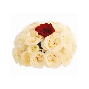 Aramoun Keserwan rože- Moja ena in edina Cvet Dostava