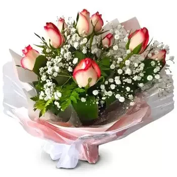 بائع زهور بودري دور- الورود الوردية الناعمة المورقة زهرة التسليم