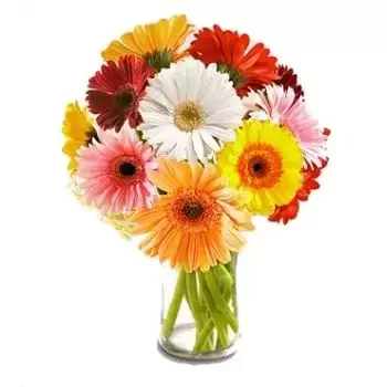 Changwon-si delte et eller flere andre blomster- Dag drøm Blomst Levering