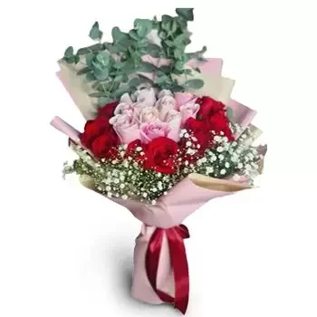 וילה דה סן פרנסיסקו פרחים- משתוקק לאהבה פרח משלוח