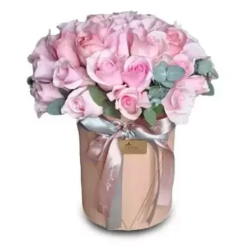 Gracias cvijeća- Prekrasan šapat Cvijet Isporuke