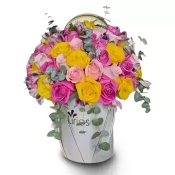 סן פדרו סולה פרחים- קופסה רכה פרח משלוח