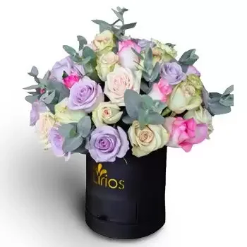 לאס טרוג'ס פרחים- גבעולים סודיים פרח משלוח