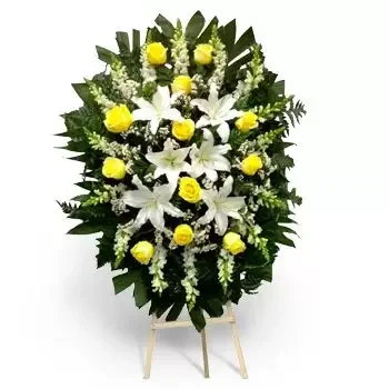 Honduras online Florist - Safe Haven Bouquet
