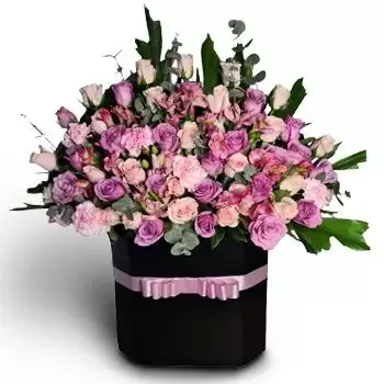 San Manuel cvijeća- Ružičasta kraljevskost Cvijet Isporuke