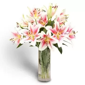 Ονδούρα λουλούδια- Γλυκά μπουμπούκια  Λουλούδι Παράδοση