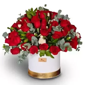 הונדורס פרחים- מזל פרחוני  פרח משלוח