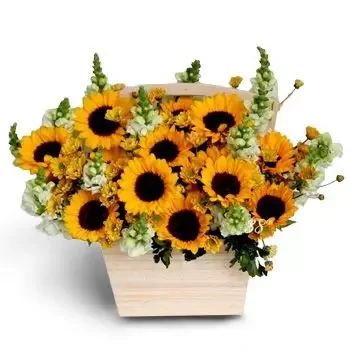 סן פדרו סולה פרחים- אהבה ריחנית פרח משלוח