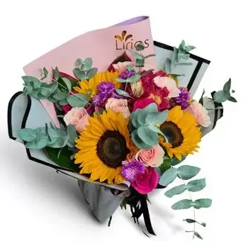 וילה דה סן פרנסיסקו פרחים- תהילת אביב פרח משלוח