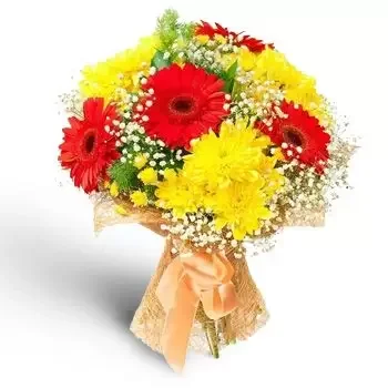 בויאן בוטבו פרחים- בוקר שמשי פרח משלוח