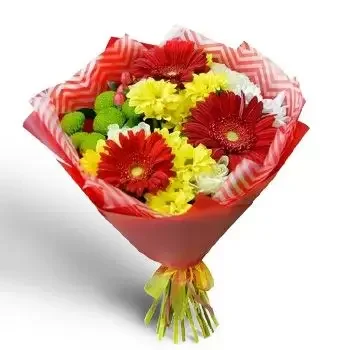 ברסליאניצה פרחים- זר שמש פרח משלוח