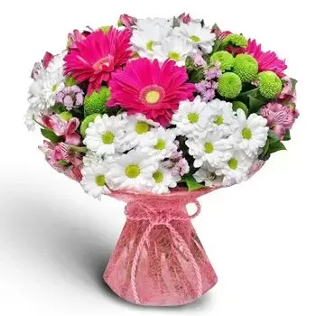 알레코보 꽃- 행복의 색 꽃 배달