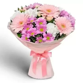 Барцево цветы- Розоватые лепестки Цветок Доставка