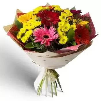 ברדרסקי גרן פרחים- פרחים ססגוניים פרח משלוח