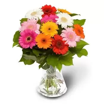 Бозурец цветы- Красочная улыбка Цветок Доставка
