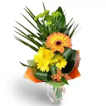 Belgun cvijeća- Osjećaj sućuti Cvijet Isporuke