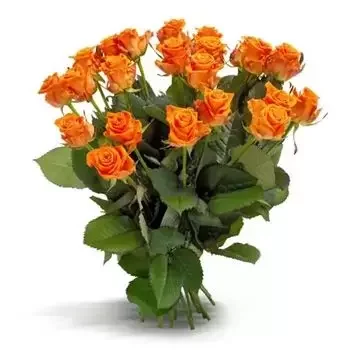 Bratja Kuncevi פרחים- גן ורדים פרח משלוח
