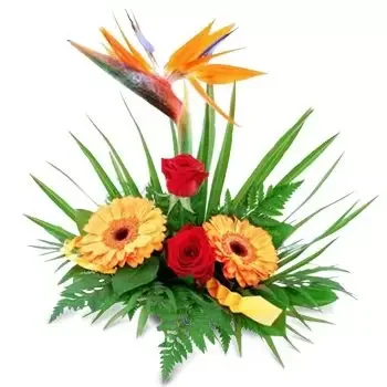 Bogjovci Blumen Florist- Aufrichtigkeit Blumen Lieferung