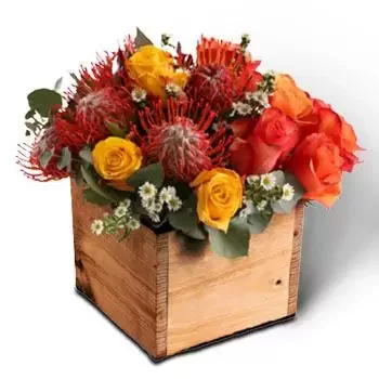 Johannesburg online virágüzlet - Tűpárnás doboz Csokor