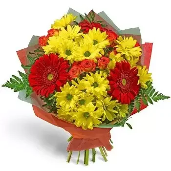 fleuriste fleurs de Beli Lom- Arrangements merveilleux Fleur Livraison