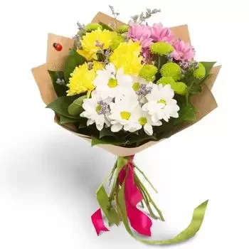 Biserci פרחים- קיץ צבעוני פרח משלוח