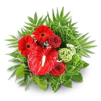 Bulharsko květiny- Doplňte Kytici
