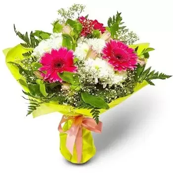 Asenovci bloemen bloemist- Vrij wit en roze Bloem Levering