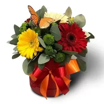 Belokopitovo cvijeća- Kutija s cvijećem Cvijet Isporuke