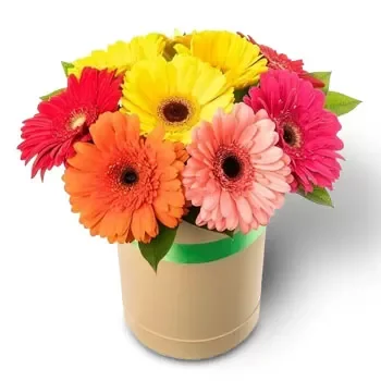 Belgun Blumen Florist- Bündel Freude Blumen Lieferung