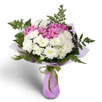 בורוביץ' פרחים- רומנטיקה ורוד ולבן פרח משלוח