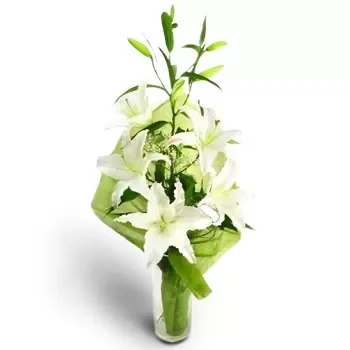 Bjal Brjag 꽃- 귀여운 인사 꽃 배달