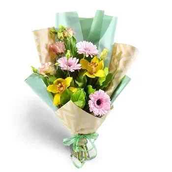 Bozuriste פרחים- קַרנָבָל פרח משלוח