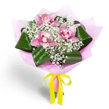 Beljanovo פרחים- נס ורוד פרח משלוח