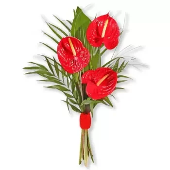 Bratja Kuncevi Blumen Florist- Roter Charme Blumen Lieferung