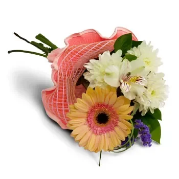 flores Aheloj floristeria -  Abrazos suaves Ramos de  con entrega a domicilio