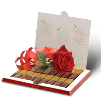 Bjala Palanka bloemen bloemist- Roos in chocolade Bloem Levering