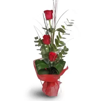בורוביץ' פרחים- אהובה פרח משלוח