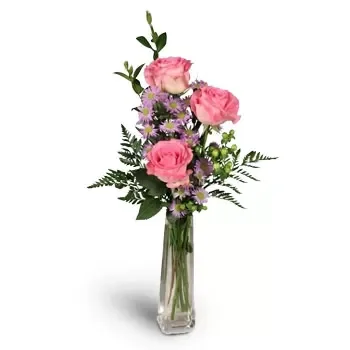 Босуля цветы- Розоватая роза Цветок Доставка