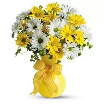 בוסן פרחים- קרני שמש פרח משלוח