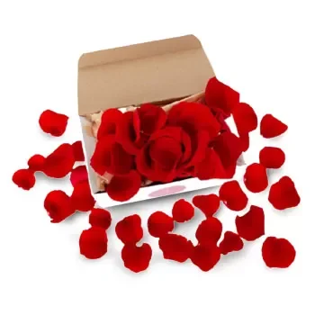 Γιοχάνεσμπουργκ σε απευθείας σύνδεση ανθοκόμο - Κόκκινο τριαντάφυλλο Μπουκέτο