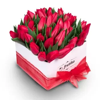 Johannesburg bunga- Kotak Merah Jambu Bunga Penghantaran