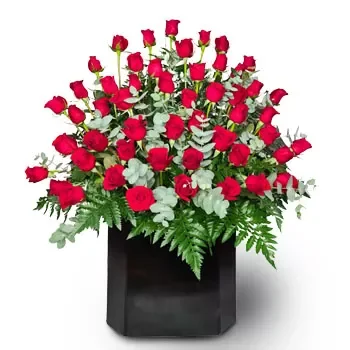 סן פדרו סולה פרחים- חורף טרי פרח משלוח