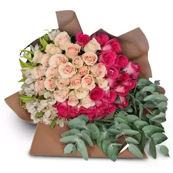 Potrerillos kwiaty- Różowy połysk Kwiat Dostawy
