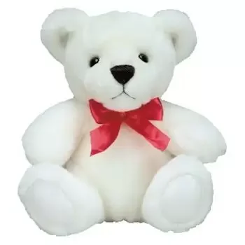 Iran flowers  -  White Teddy Bear  Delivery