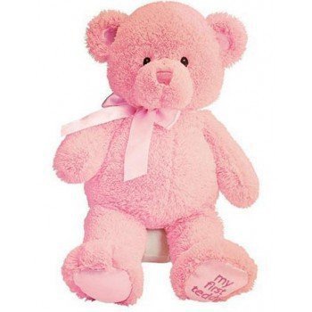 Pererenan flori- Pink Teddy Bear  Livrare