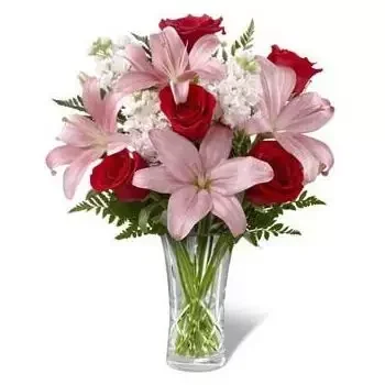 بائع زهور جزر فيرجن البريطانية- احمرار الجمال زهرة التسليم