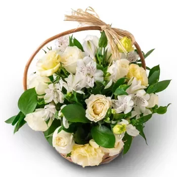 flores Fortaleza floristeria -  Elección rara Ramos de  con entrega a domicilio