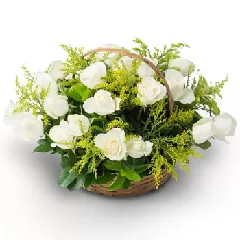 Salvador blomster- Kul hvit Blomst Levering